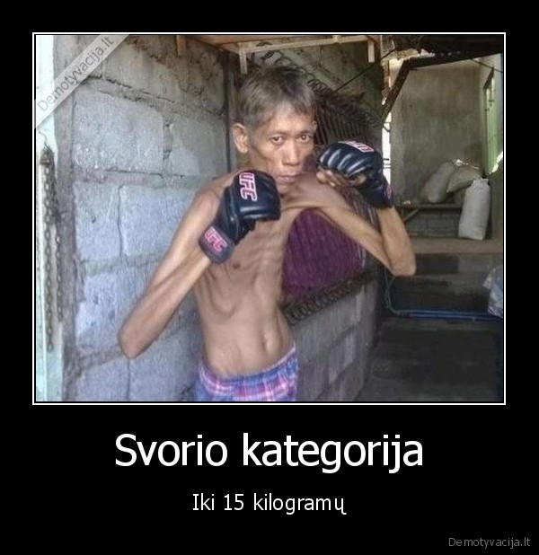 kudas, boksininkas,kaulu, rinkinys,boksas