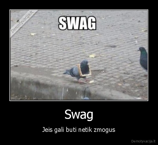 Swag