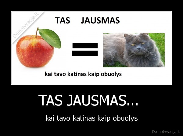 TAS JAUSMAS... 