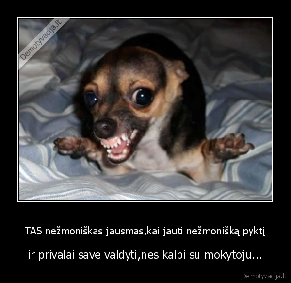 TAS nežmoniškas jausmas,kai jauti nežmonišką pyktį