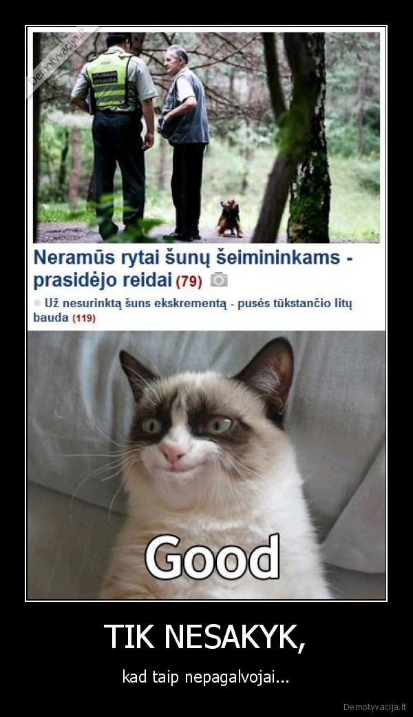 grumpy, cat,sunu, seiminininkai,policija,reidai,ekologija,svarus, miestas