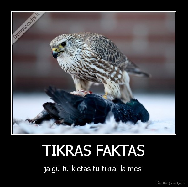 TIKRAS FAKTAS
