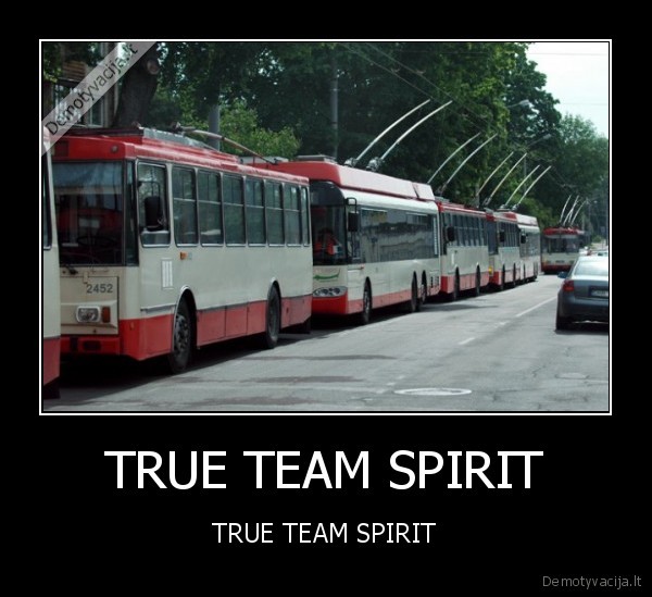 TRUE TEAM SPIRIT