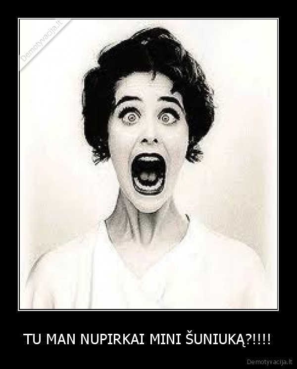TU MAN NUPIRKAI MINI ŠUNIUKĄ?!!!!