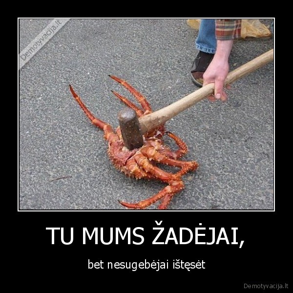 krabas,eurobasket2011,lizdeika