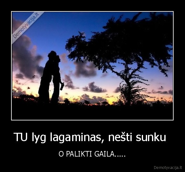 meile, posakiai, patarles, jausmai, gailestis, gyvenimas, chuck, norris, zeme, saule