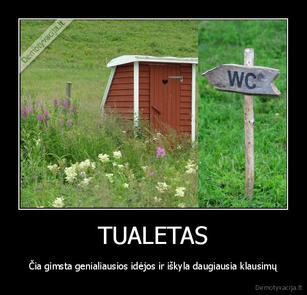 lauko, tualetas,klausimas,kas, as