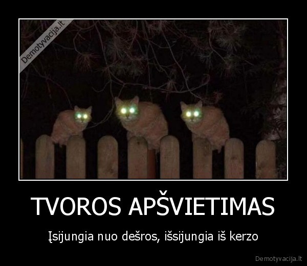 tvoros, apsvietima,., kate