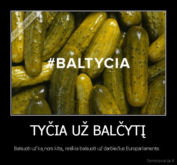 balsuoti,baltycia,baltycia,balcytis