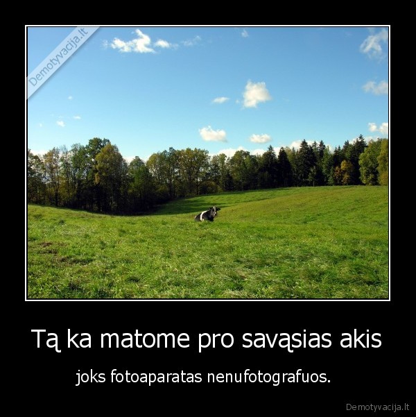 Tą ka matome pro savąsias akis