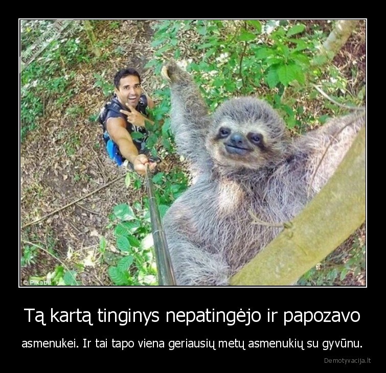 asmenukes,tinginys,faktai,idomybes