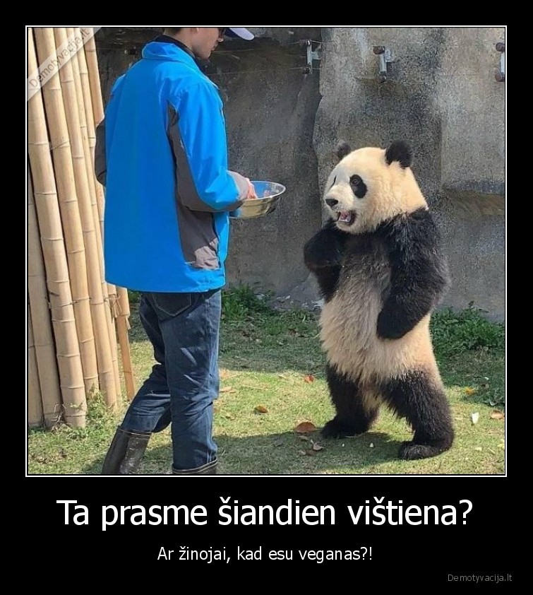 panda,maistas,vistiena,veganas