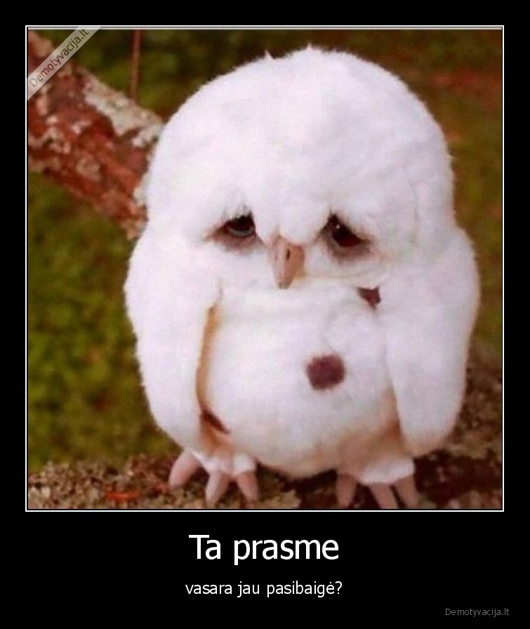 vasara,pasibaige,liudna,peleda