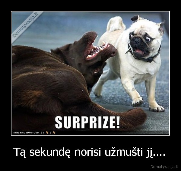 Tą sekundę norisi užmušti jį....