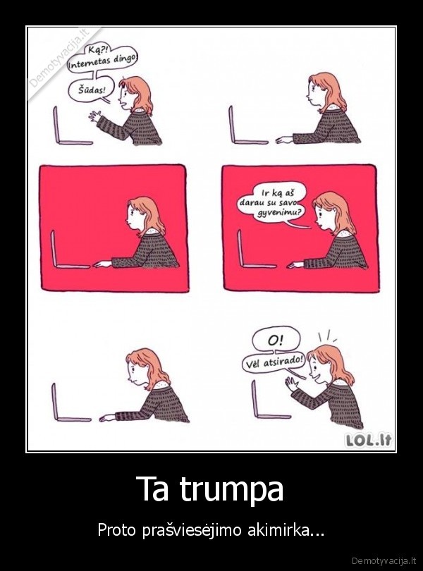 dingo, internetas,interetas, dingo