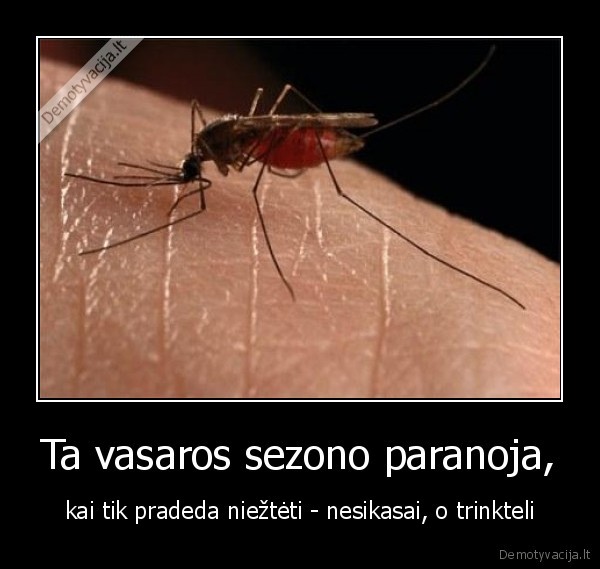 kai, kazka, niezti, trinkteli, nes, atrodo, jog, kanda, uodas