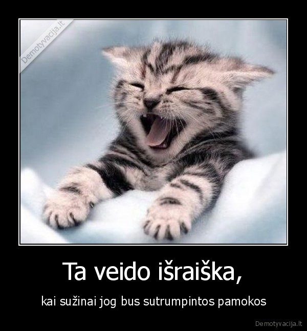 Ta veido išraiška,