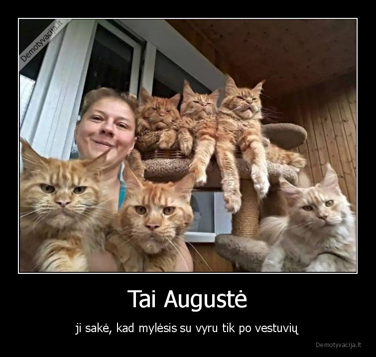 meile,seile,katinai,kaciu, boba