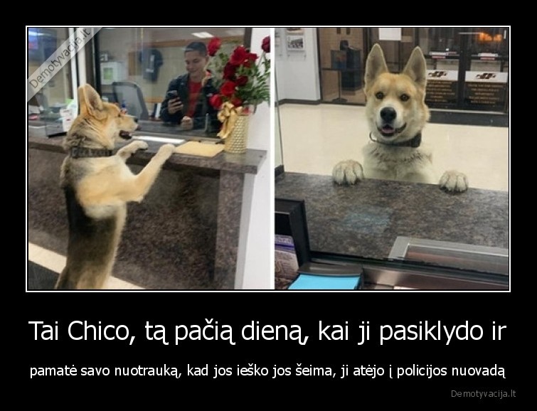 suo,chico,policija