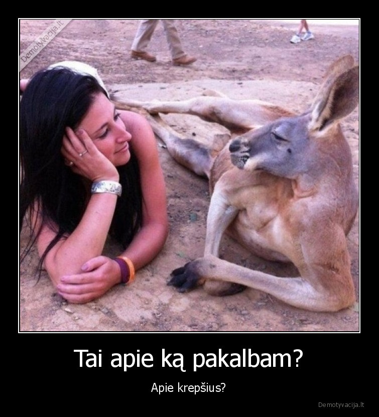 kengura,krepsiai,pakalbam,apie