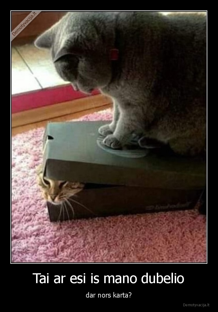 Tai ar esi is mano dubelio