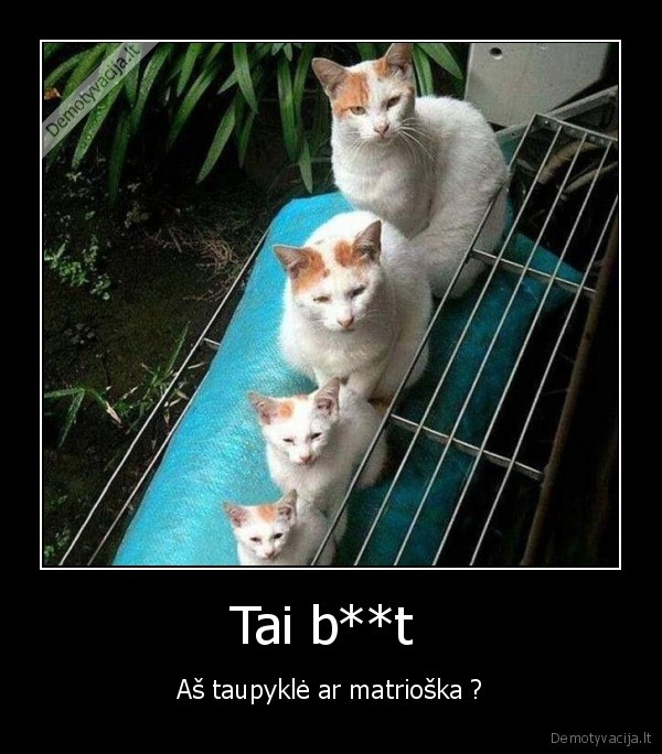 neknisk,sau,del,to,proto