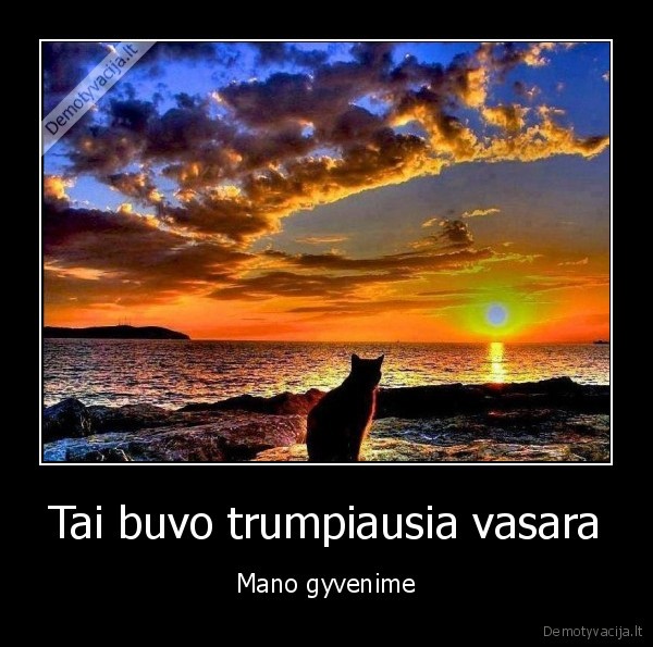 vasaros, pabaiga,vasara, baigesi