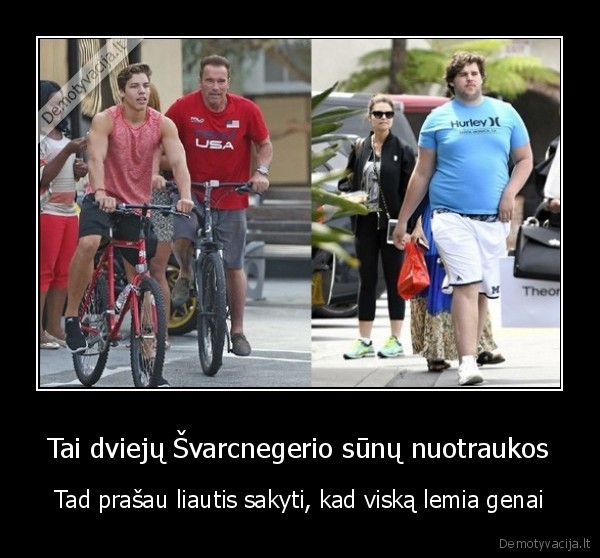 storas, ir, kudas,arnoldas, svarcnegeris