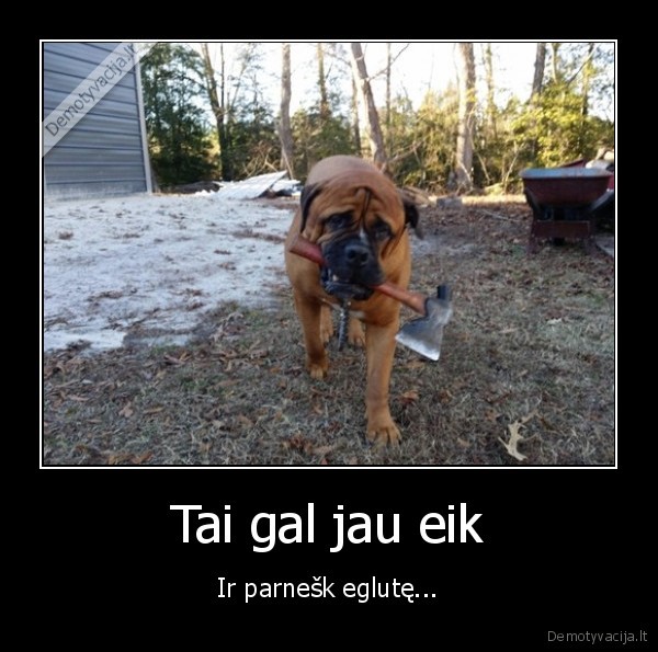 piktas, suo,suo, su, kirviu,kaledine, egle,eglutes, kirtimas