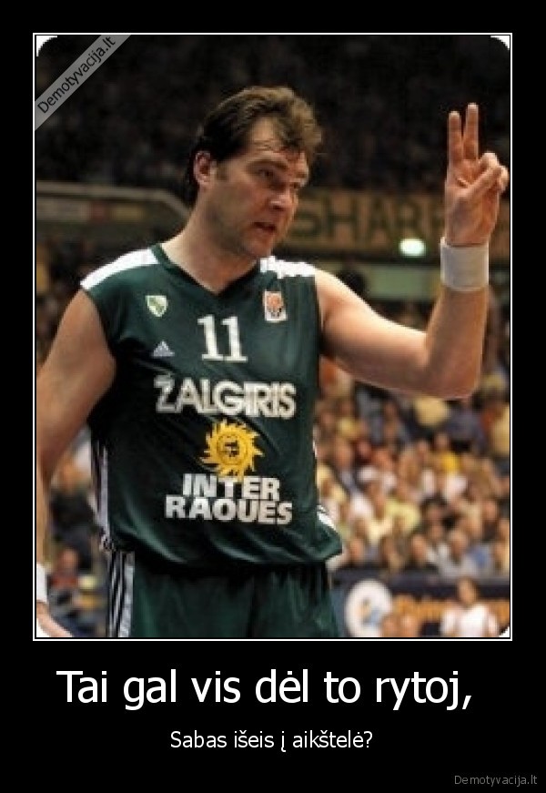 zalgiris, strasburgo, ig, gal, iseis, sabas