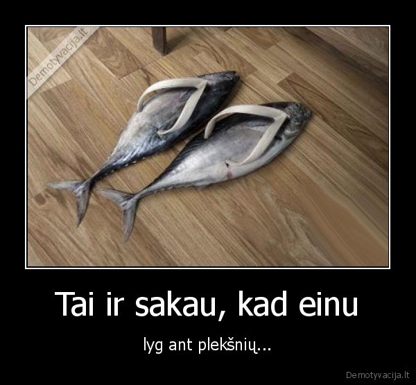 theladoga13, pleksnes, einu