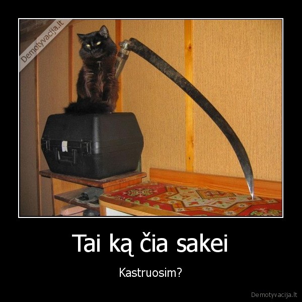 piktas, katinas,katinas, ir, dalgis,katino, kastracija