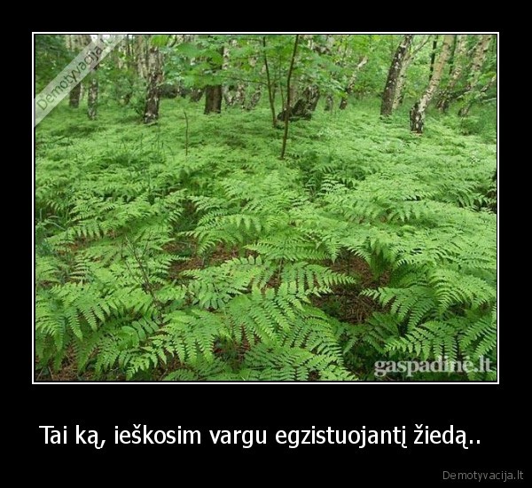 Tai ką, ieškosim vargu egzistuojantį žiedą.. 