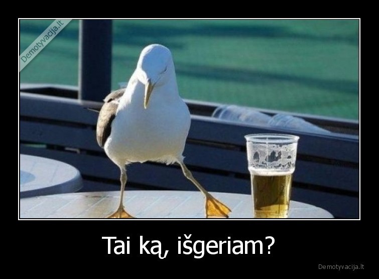 zuvedra,alus,isgeriam