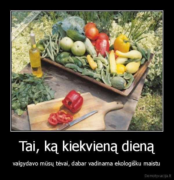 Tai, ką kiekvieną dieną