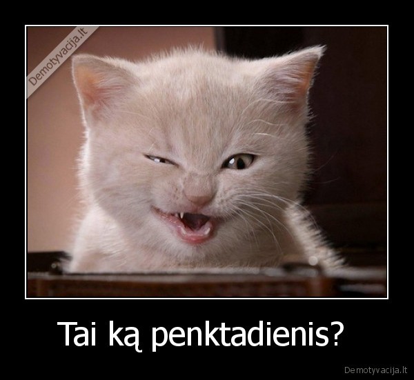 Tai ką penktadienis? 