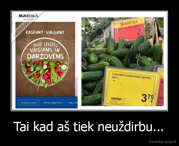 darzoves,agurkai,brangu