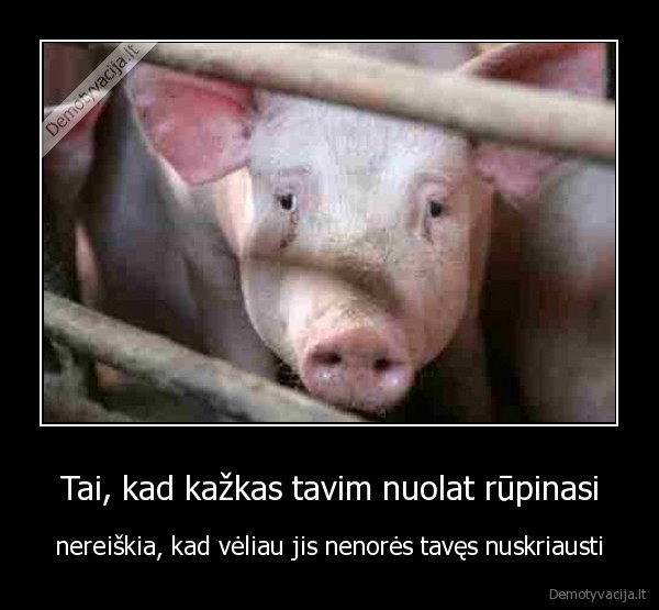 Tai, kad kažkas tavim nuolat rūpinasi