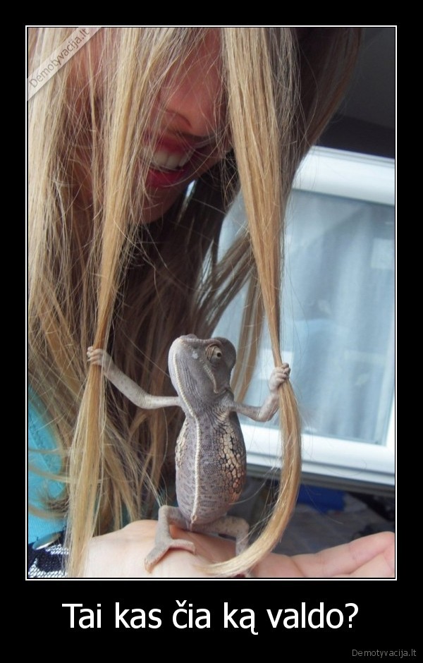 chameleonas, valdo, pasauli