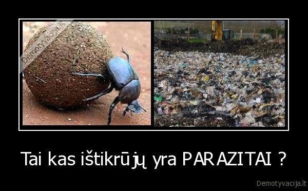 Tai kas ištikrūjų yra PARAZITAI ?