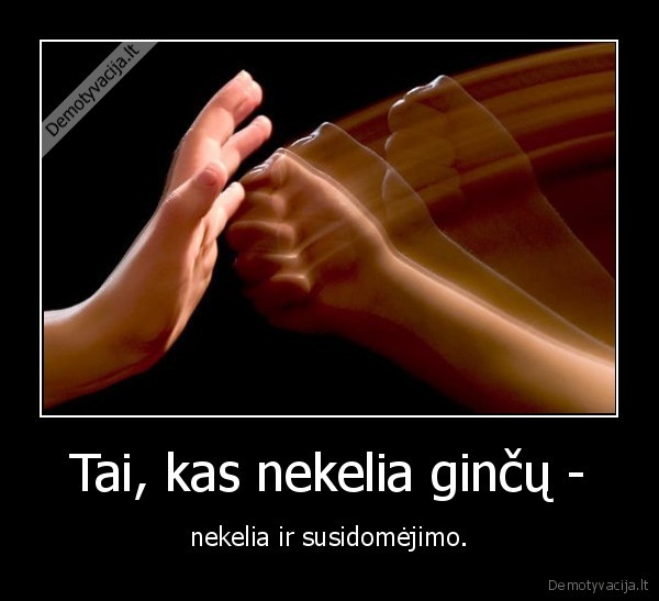 Tai, kas nekelia ginčų -