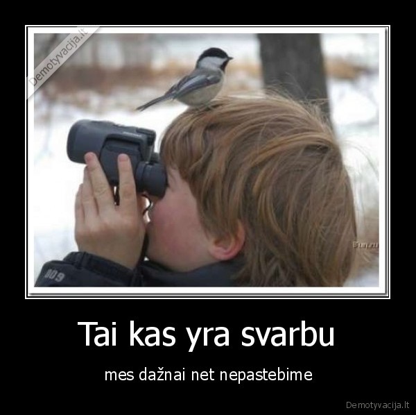 fail,kid,bird