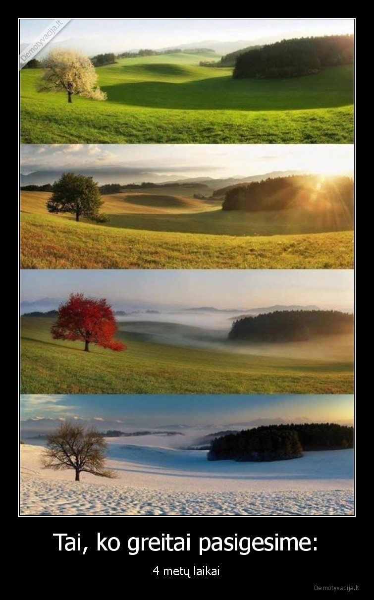 4, metu, laikai,grazu,gamta