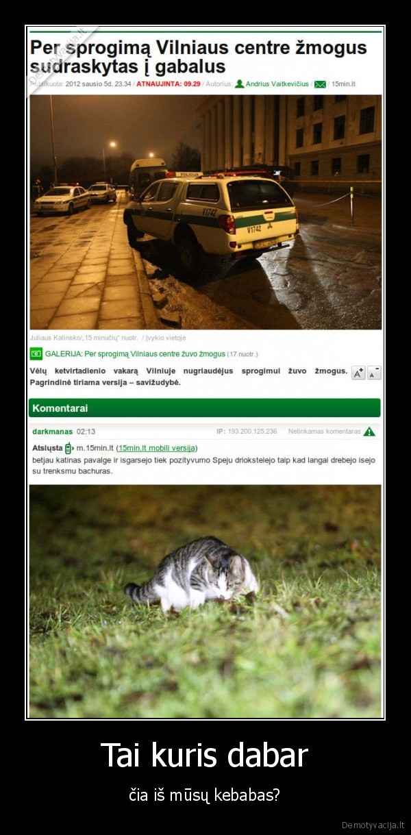 juodas, humors, black, humor, silpnu, nervu, neziureti, kraupu, gaila, vaikino