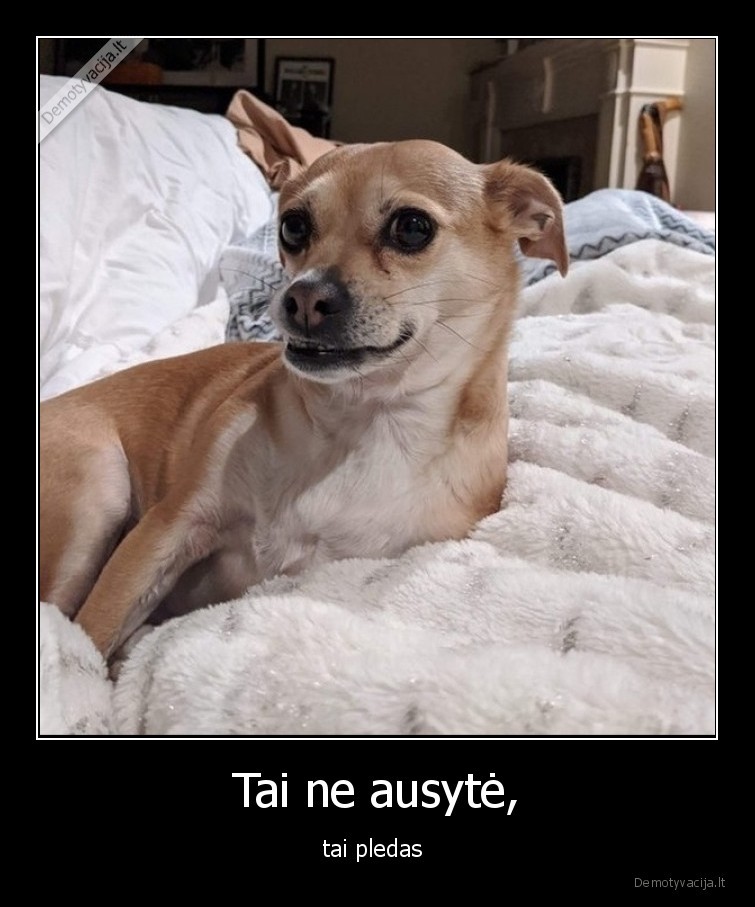 ausis,pledas,suo,iliuzija