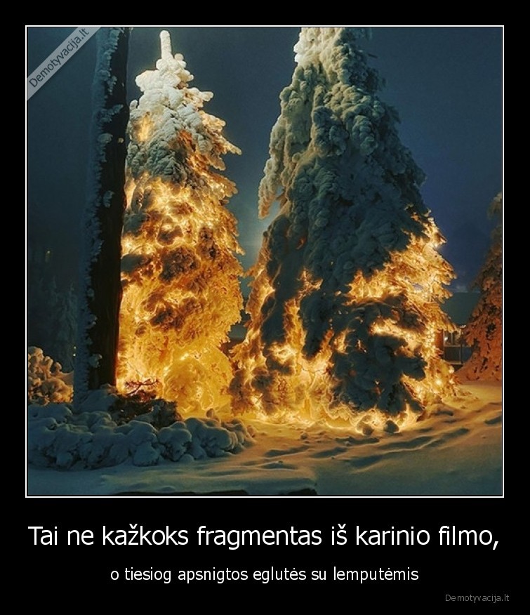 eglutes,apsnigo,magija,ziema