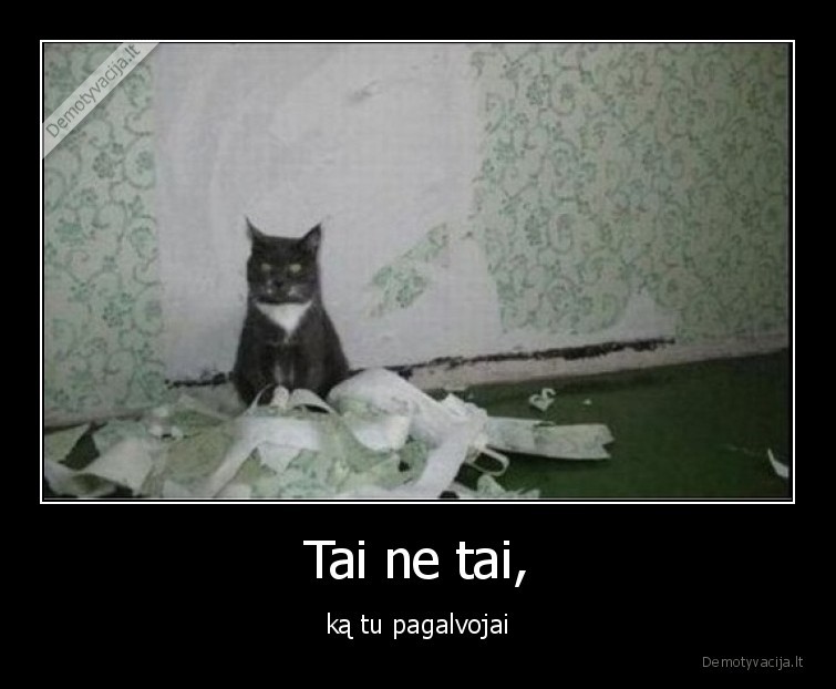kate,popierius,ne, tai,ka, pagalvojai