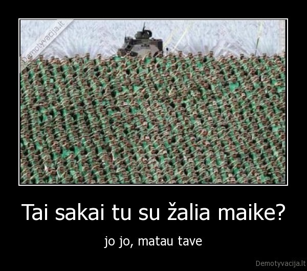 Tai sakai tu su žalia maike?