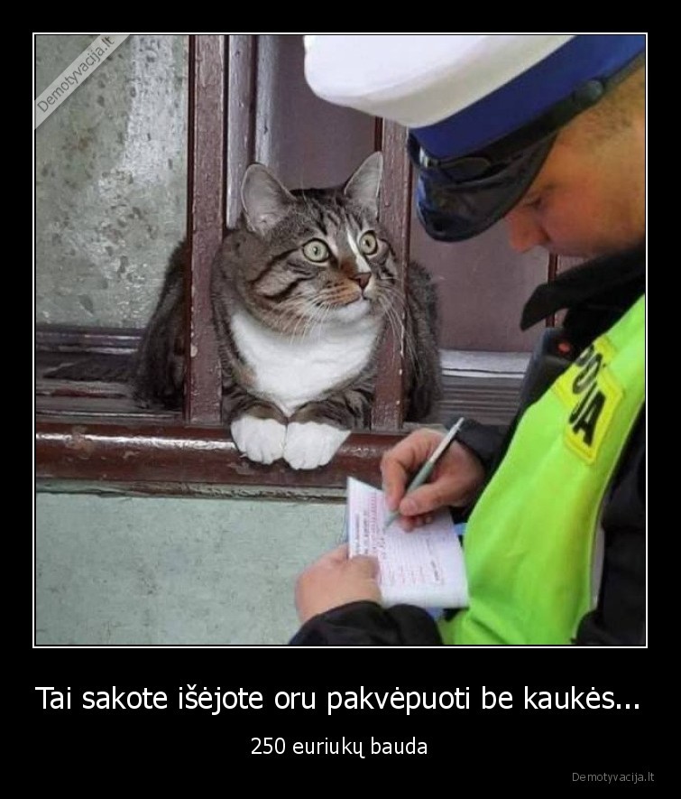 kauke,katinas,karantinas