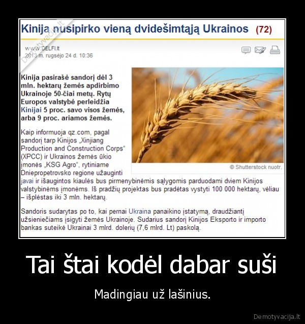 kinija,ukraina,lasiniai,susi